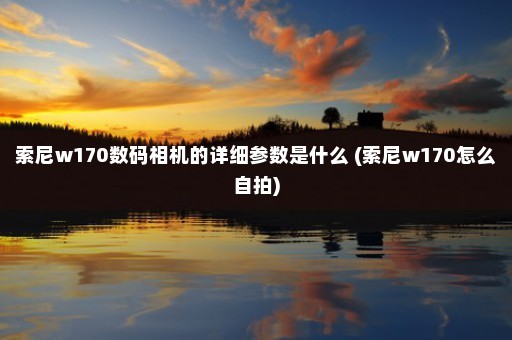 索尼w170数码相机的详细参数是什么 (索尼w170怎么自拍)