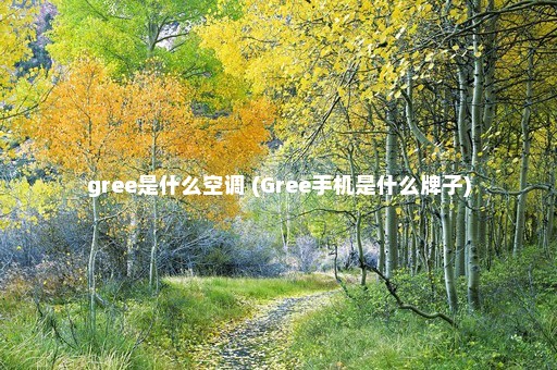 gree是什么空调 (Gree手机是什么牌子)