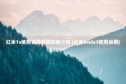 红米1s使用说明书和功能介绍 (红米buds3使用说明)