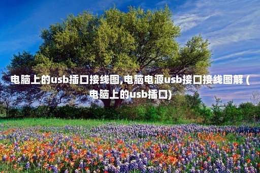 电脑上的usb插口接线图,电脑电源usb接口接线图解 (电脑上的usb插口)