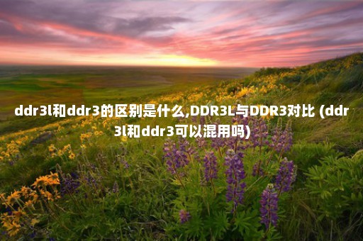 ddr3l和ddr3的区别是什么,DDR3L与DDR3对比 (ddr3l和ddr3可以混用吗)