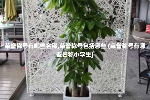 荣誉称号有哪些名称,荣誉称号包括哪些 (荣誉称号有哪些名称小学生)