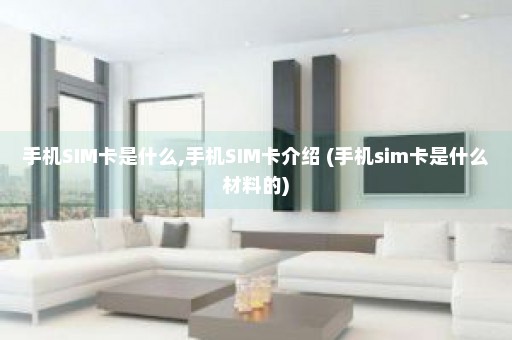 手机SIM卡是什么,手机SIM卡介绍 (手机sim卡是什么材料的)