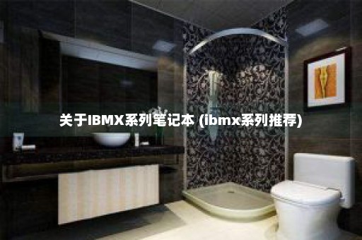 关于IBMX系列笔记本 (ibmx系列推荐)