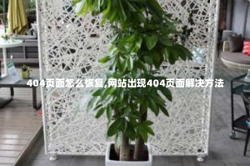 404页面怎么恢复,网站出现404页面解决方法