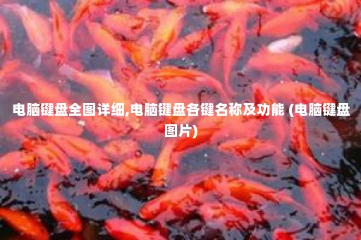 电脑键盘全图详细,电脑键盘各键名称及功能 (电脑键盘图片)