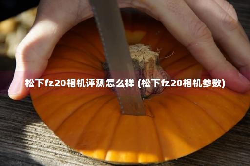 松下fz20相机评测怎么样 (松下fz20相机参数)