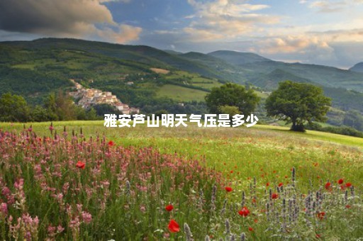 雅安芦山明天气压是多少