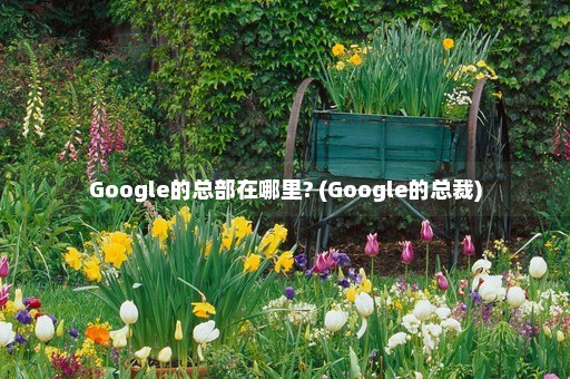 Google的总部在哪里? (Google的总裁)