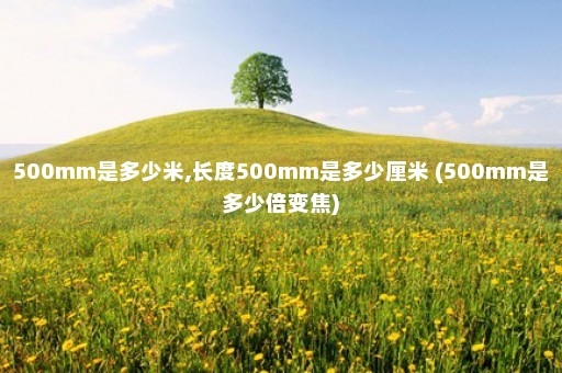 500mm是多少米,长度500mm是多少厘米 (500mm是多少倍变焦)