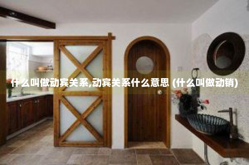 什么叫做动宾关系,动宾关系什么意思 (什么叫做动销)