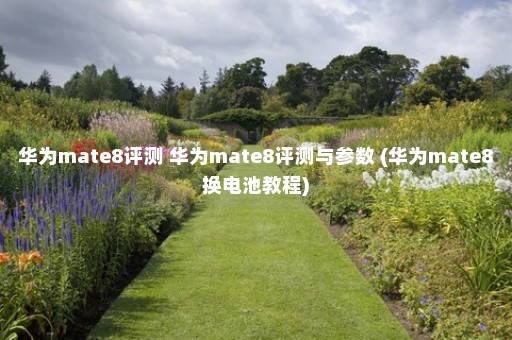 华为mate8评测 华为mate8评测与参数 (华为mate8换电池教程)