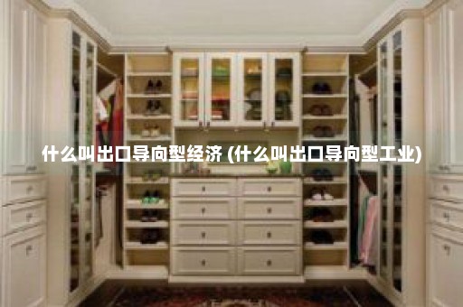 什么叫出口导向型经济 (什么叫出口导向型工业)