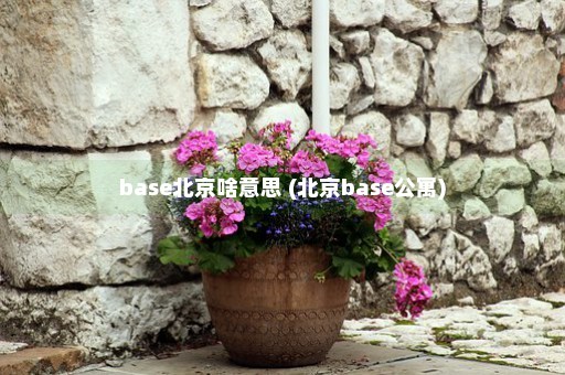 base北京啥意思 (北京base公寓)