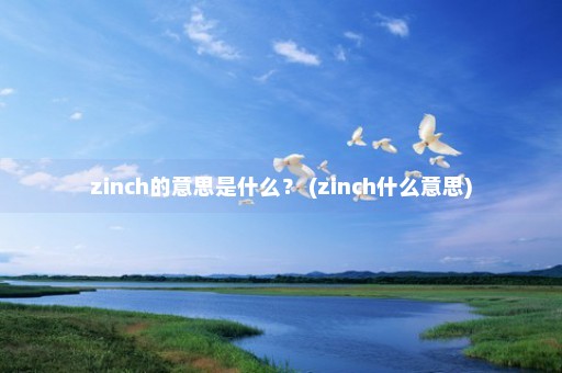 zinch的意思是什么？ (zinch什么意思)