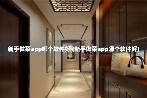 新手做菜app哪个软件好 (新手做菜app哪个软件好)