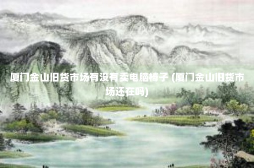 厦门金山旧货市场有没有卖电脑椅子 (厦门金山旧货市场还在吗)