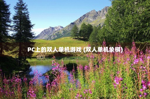 PC上的双人单机游戏 (双人单机象棋)