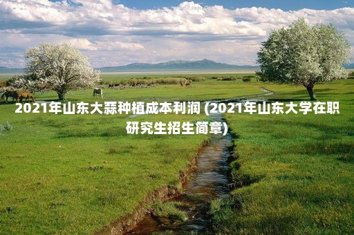 2021年山东大蒜种植成本利润 (2021年山东大学在职研究生招生简章)