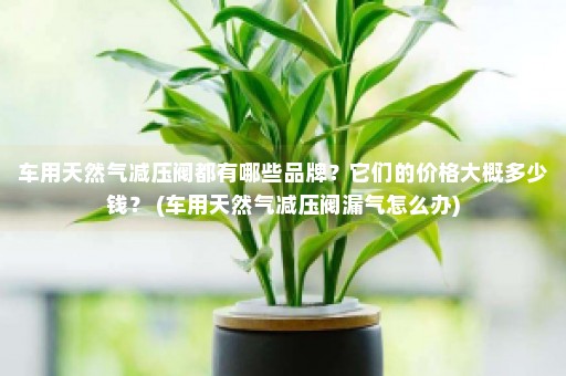 车用天然气减压阀都有哪些品牌？它们的价格大概多少钱？ (车用天然气减压阀漏气怎么办)