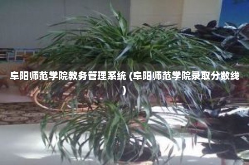 阜阳师范学院教务管理系统 (阜阳师范学院录取分数线)