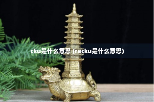 cku是什么意思 (recku是什么意思)