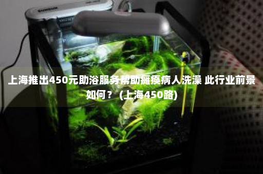 上海推出450元助浴服务帮助瘫痪病人洗澡 此行业前景如何？ (上海450路)