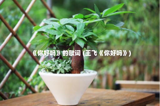 《你好吗》的歌词 (王飞《你好吗》)