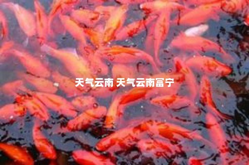 天气云南 天气云南富宁