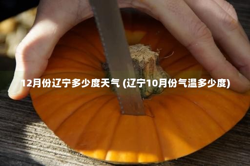 12月份辽宁多少度天气 (辽宁10月份气温多少度)