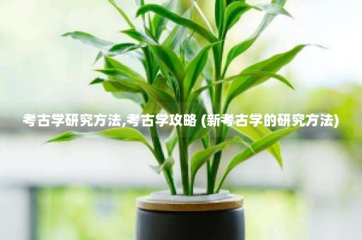 考古学研究方法,考古学攻略 (新考古学的研究方法)