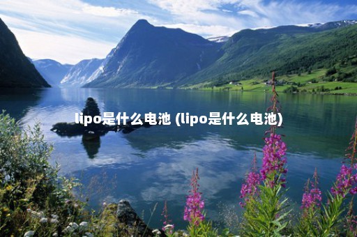 lipo是什么电池 (lipo是什么电池)