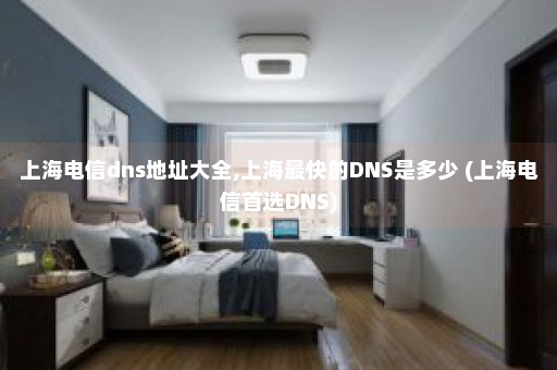 上海电信dns地址大全,上海最快的DNS是多少 (上海电信首选DNS)