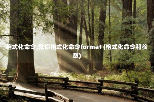 格式化命令,教你格式化命令format (格式化命令和参数)