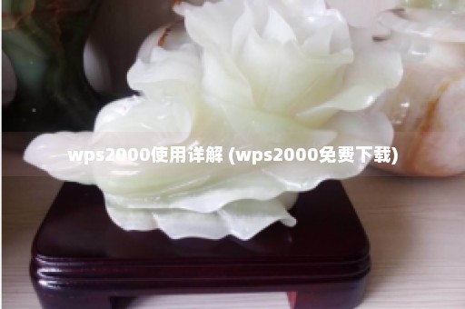 wps2000使用详解 (wps2000免费下载)