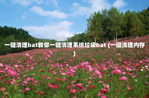 一键清理bat教你一键清理系统垃圾bat (一键清理内存)