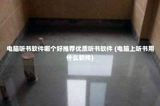 电脑听书软件哪个好推荐优质听书软件 (电脑上听书用什么软件)