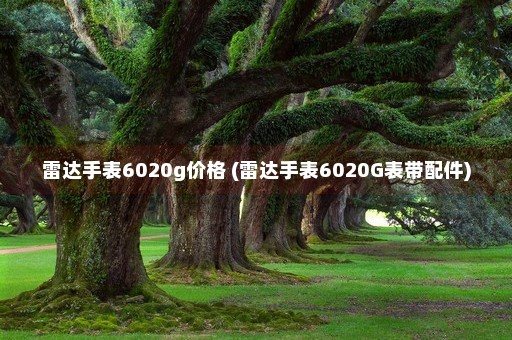 雷达手表6020g价格 (雷达手表6020G表带配件)