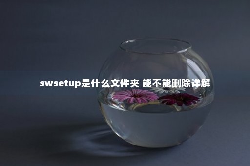 swsetup是什么文件夹 能不能删除详解