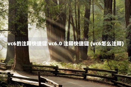 vc6的注释快捷键 vc6.0 注释快捷键 (vc6怎么注释)