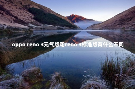 oppo reno 3元气版和reno 3标准版有什么不同