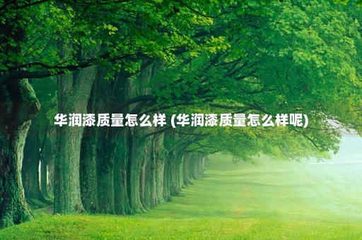 华润漆质量怎么样 (华润漆质量怎么样呢)