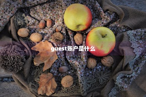 guest账户是什么