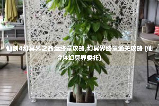 仙剑4幻冥界之命运终章攻略,幻冥界终章通关攻略 (仙剑4幻冥界委托)