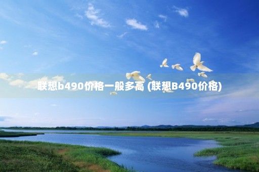 联想b490价格一般多高 (联想B490价格)