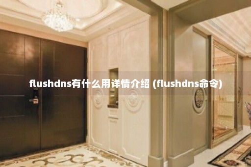 flushdns有什么用详情介绍 (flushdns命令)