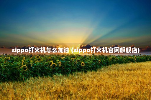 zippo打火机怎么加油 (zippo打火机官网旗舰店)