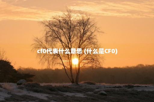 cf0代表什么意思 (什么是CF0)