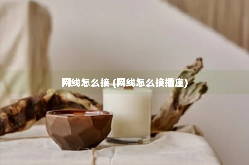 网线怎么接 (网线怎么接插座)