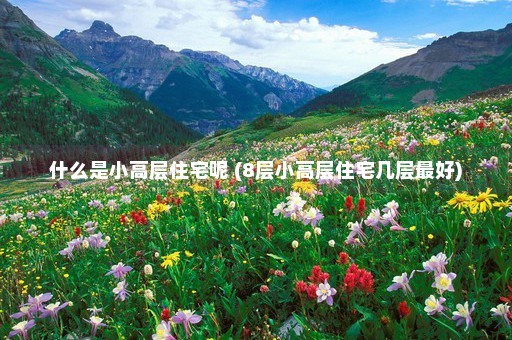 什么是小高层住宅呢 (8层小高层住宅几层最好)